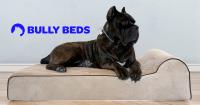 Bully Beds image 2